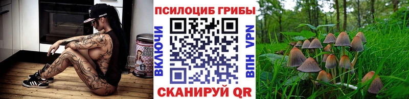 Купить закладки  Щучье  Галлюциногенные грибы GOLDEN TEACHER 